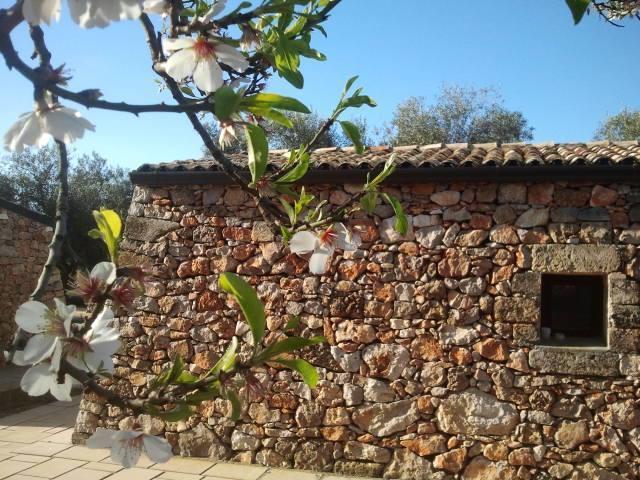 Tenuta Serre Salve