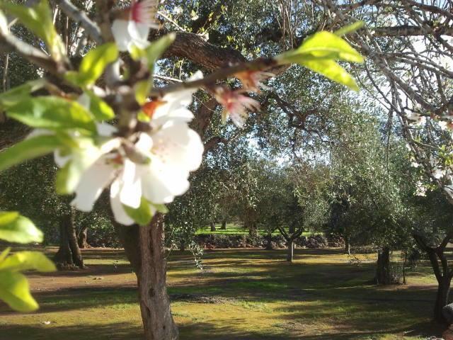 Tenuta Serre Vakantieboerderij