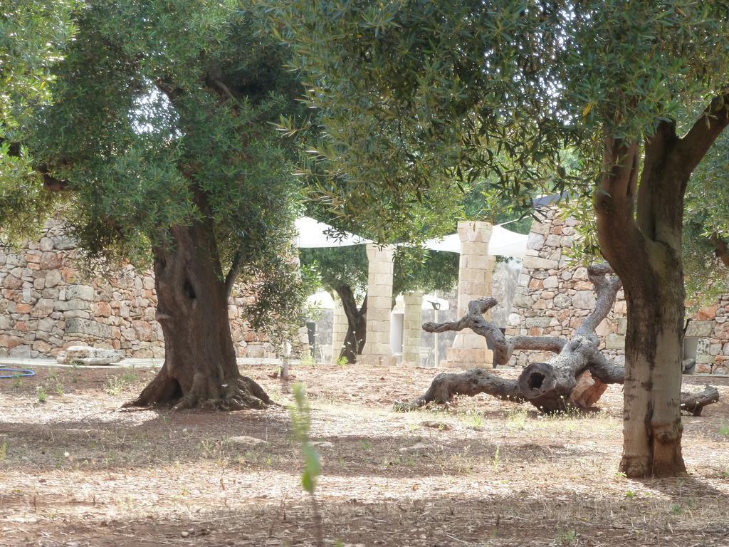 Vakantieboerderij Tenuta Serre *